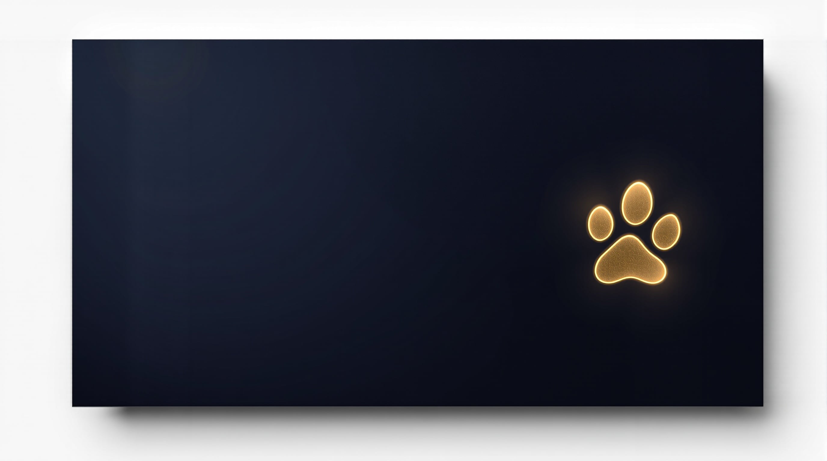 Project showcase: Paws of the Potomac — Pet Services